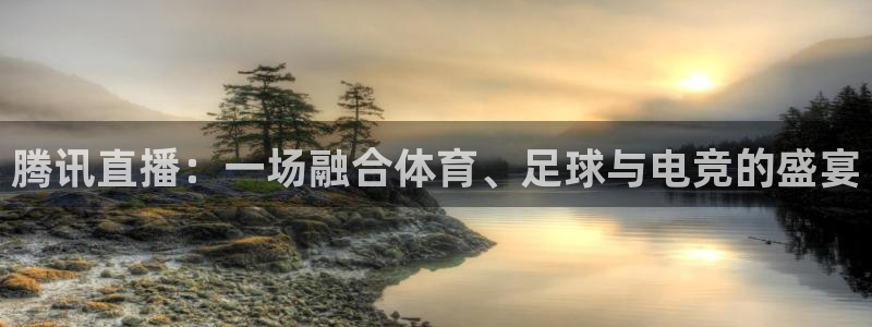 833直播篮球比赛在线观看