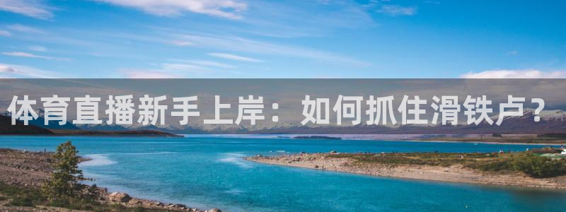 833体育在线直