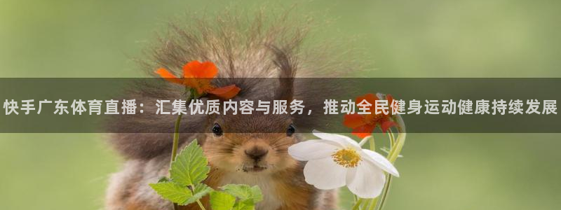 833直播nba免费观看高清直播