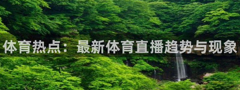 3833tv直播nba