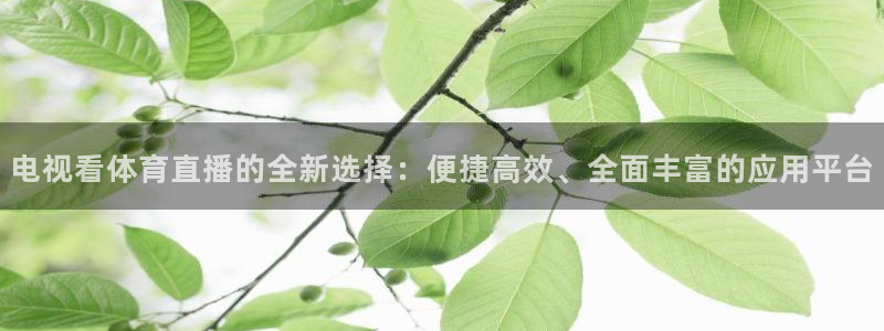 833足球直播比赛在线观看