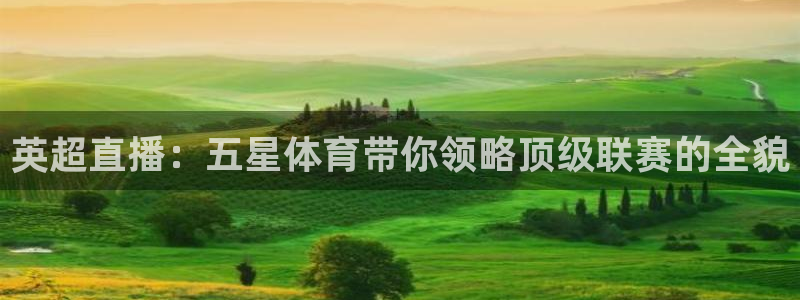 833赛事直播