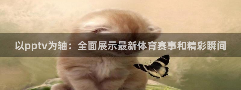 833体育在线直播在线看