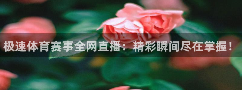 833直播体育免费观看：极速体育赛事全网直播：精彩瞬间尽在掌握！
