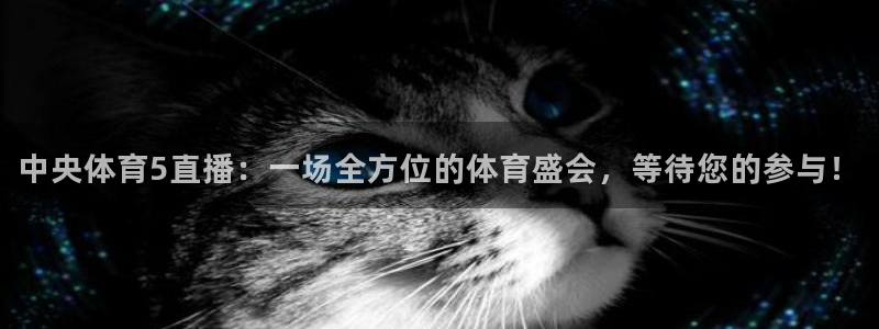 833直播体育app：中央体育5直播：一场全方位的体育盛会，等待您的参与！