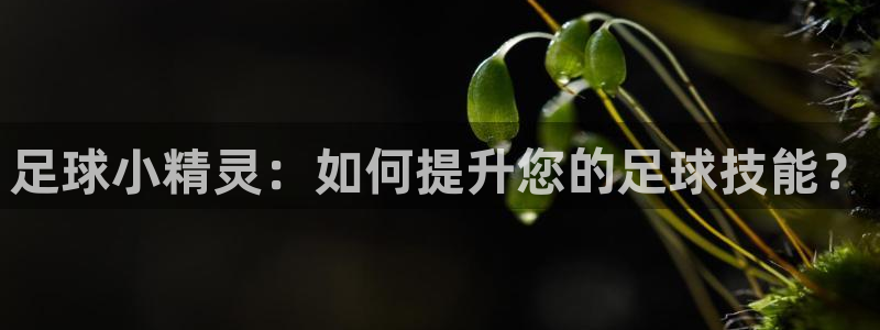 833直播足球比赛在线观看：足球小精灵：如何提升您的足球技能？