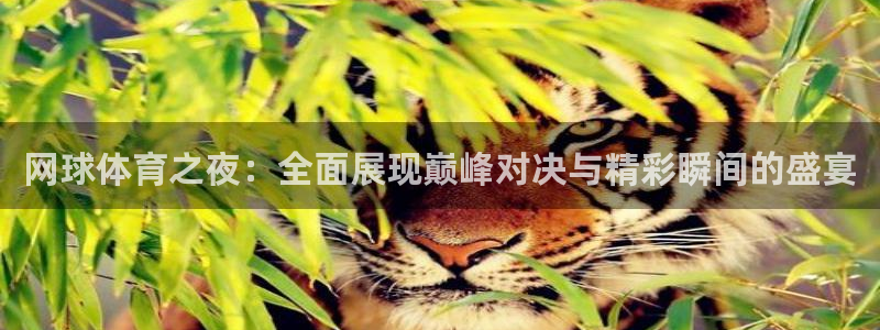 833体育在线直播在线看：网球体育之夜：全面展现巅峰对决与精彩瞬间的盛宴