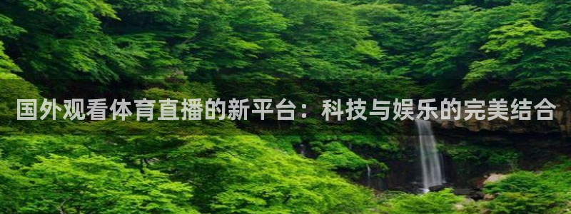 833足球直播平台：国外观看体育直播的新平台：科技与娱乐的完美结合
