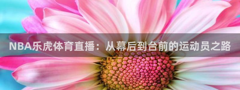 833直播体育免费观看入口：NBA乐虎体育直播：从幕后到台前的运动员之路