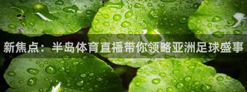 833篮球直播在线直播：新焦点：半岛体育直播带你领略亚洲足球盛事