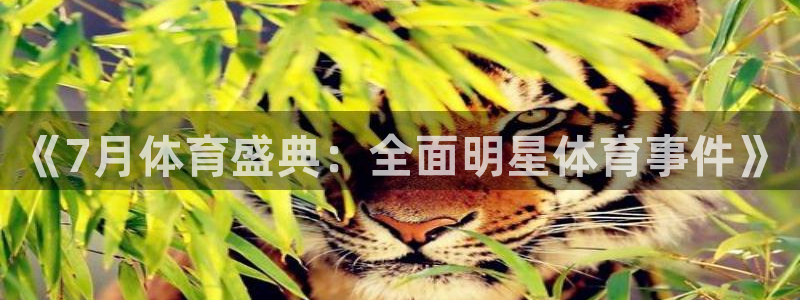 833直播体育免费入口：《7月体育盛典：全面明星体育事件》